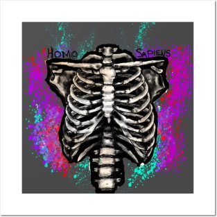 Ribcage Posters and Art